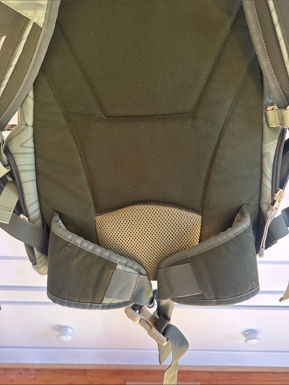 Dakine Olive Green Mt. Baker Daypack with Strap System